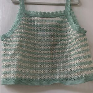 Zara Mint & Cream Striped Cropped Knit Tank
